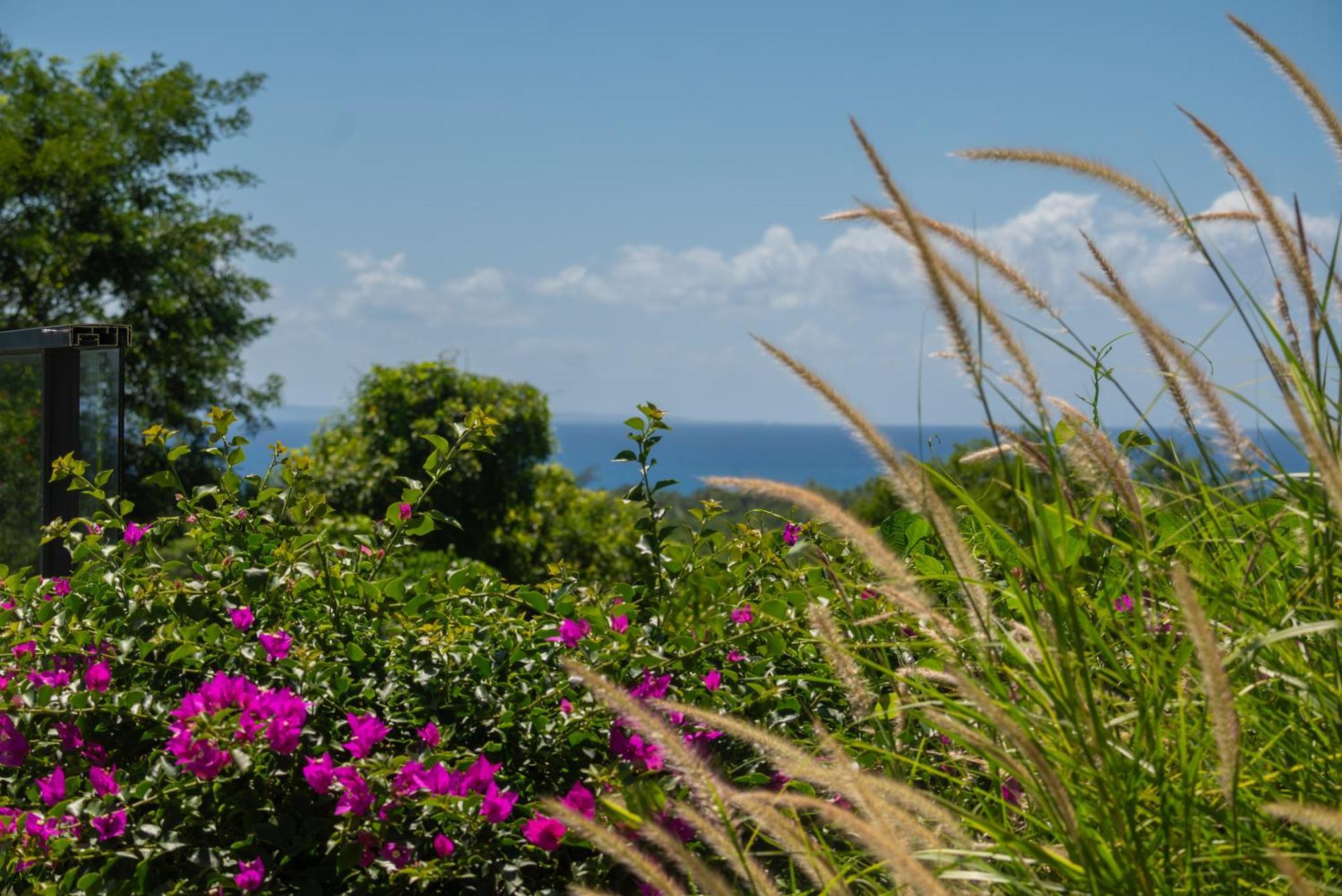 Tropic & Chic Villa Sainte-Anne  Exteriör bild